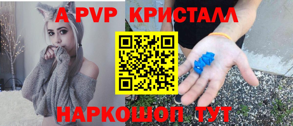 Альфа ПВП СК КРИС Ртищево