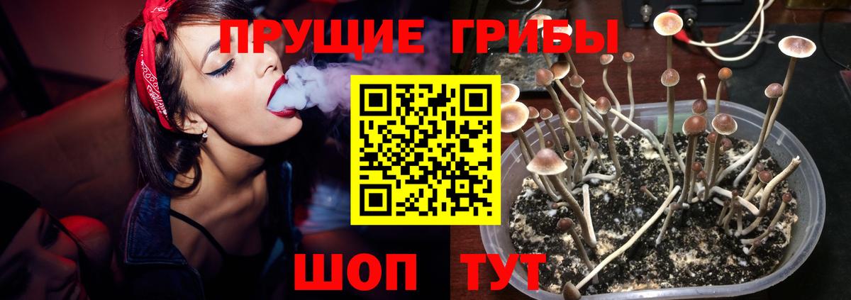 Каннабис  Ртищево  Вход с VPN  Cocaine  Мефедрон кристаллы  Мефедрон  A-PVP СОЛЬ   МЕТАМФЕТАМИН 