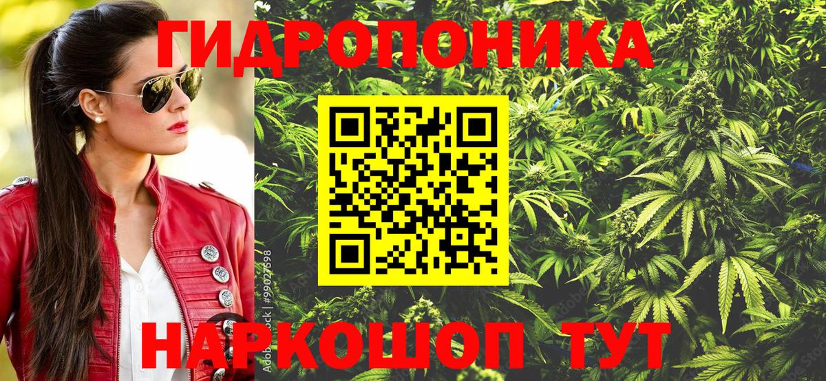 Ртищево  Шишки марихуана планчик  МАРИХУАНА OG Kush  Вход с VPN 